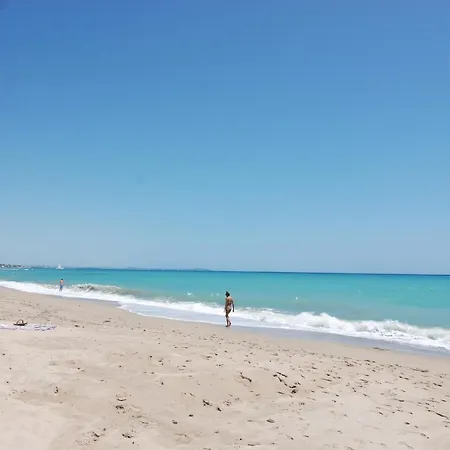 Zeus Guardamar Seaview *