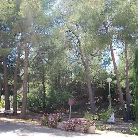Zeus Guardamar Seaview Appartamento